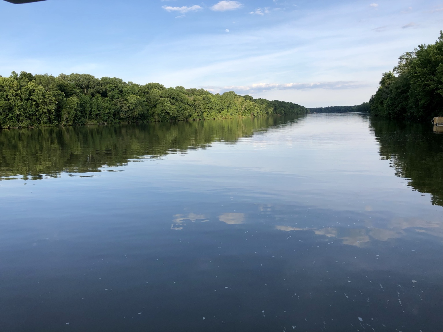 A calm river framed by wooded banks along Hunky Dory’s route from Mobile to Demopolis